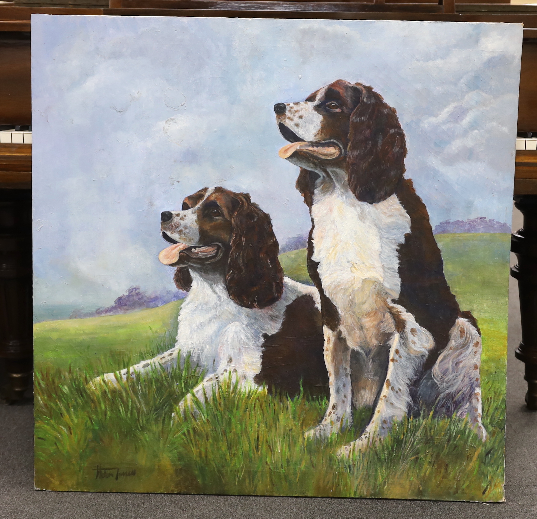 Helen James, oil on canvas, Two Springer Spaniels, signed, unframed, 95 x 94cm